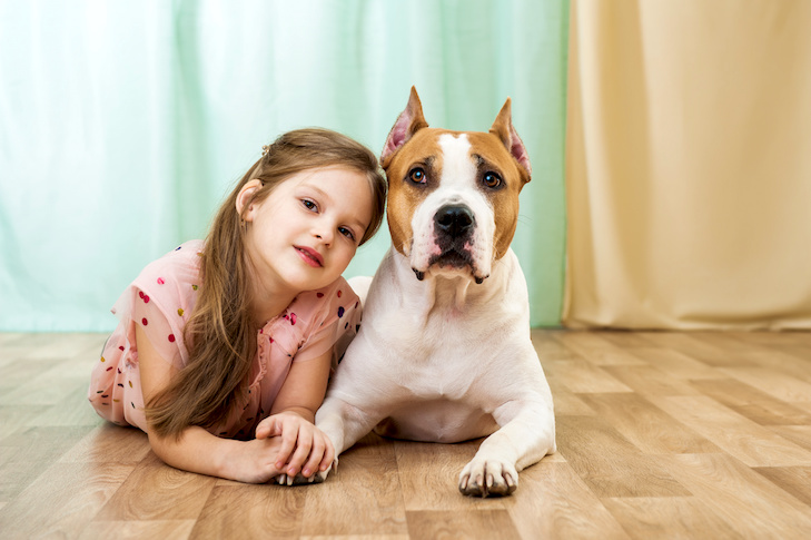 Βελτιώση της Ψυχικής Κατάστασης σε Παιδιά με Συμπεριφορικές Δυσκολίες μέσω της Επαφής τους με Ζώα